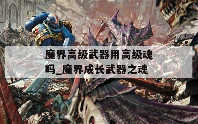 魔界高级武器用高级魂吗_魔界成长武器之魂