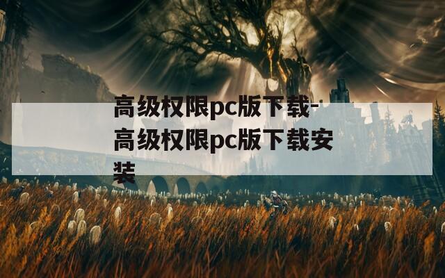 高级权限pc版下载-高级权限pc版下载安装  第1张