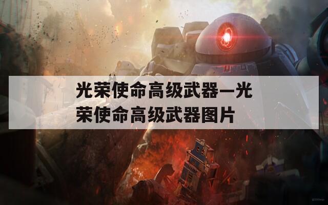 光荣使命高级武器—光荣使命高级武器图片