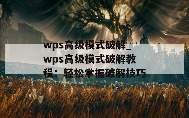 wps高级模式破解_wps高级模式破解教程：轻松掌握破解技巧