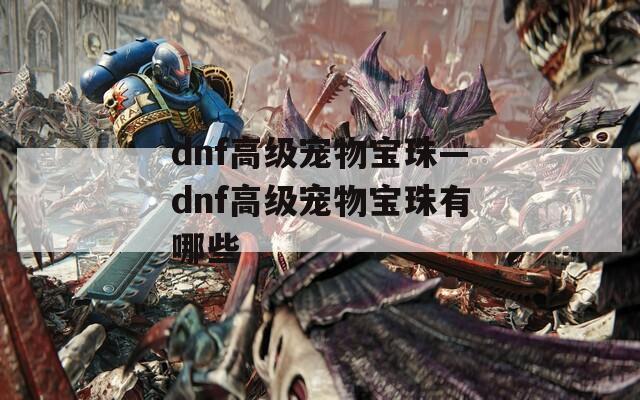 dnf高级宠物宝珠—dnf高级宠物宝珠有哪些