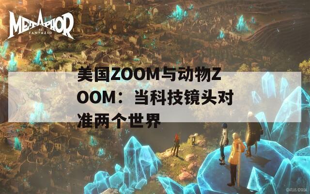 美国ZOOM与动物ZOOM：当科技镜头对准两个世界  第1张