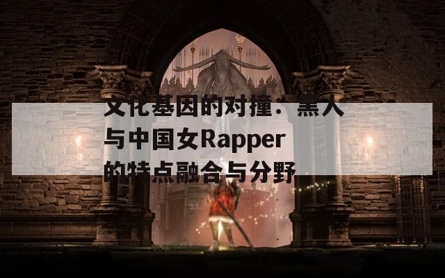 文化基因的对撞：黑人与中国女Rapper的特点融合与分野