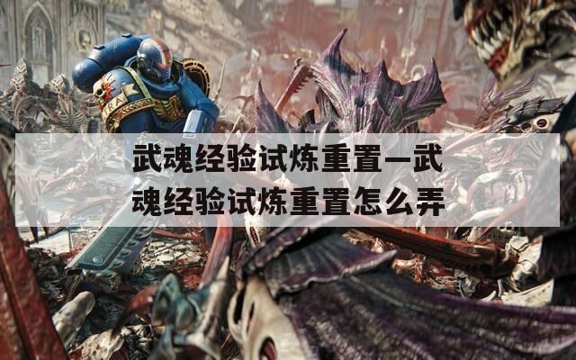 武魂经验试炼重置—武魂经验试炼重置怎么弄