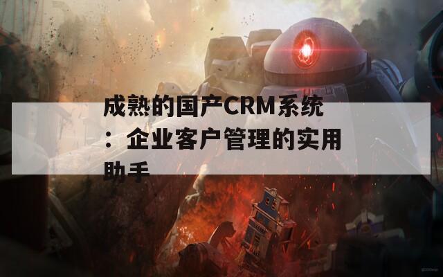 成熟的国产CRM系统：企业客户管理的实用助手  第1张