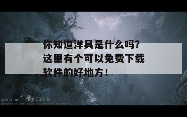 你知道洋具是什么吗？这里有个可以免费下载软件的好地方！