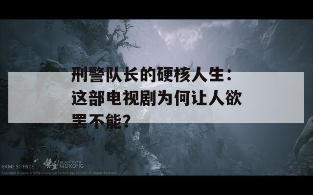 刑警队长的硬核人生：这部电视剧为何让人欲罢不能？