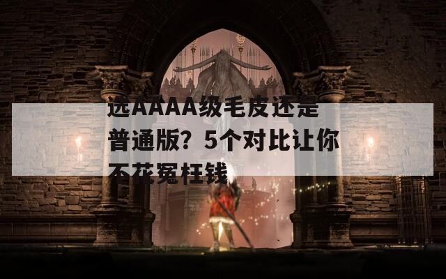 选AAAA级毛皮还是普通版？5个对比让你不花冤枉钱