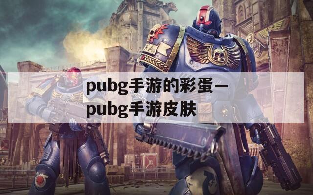 pubg手游的彩蛋—pubg手游皮肤  第1张