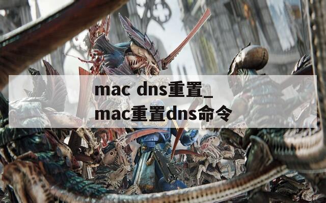 mac dns重置_mac重置dns命令