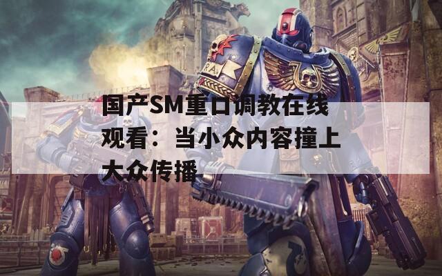 国产SM重口调教在线观看：当小众内容撞上大众传播