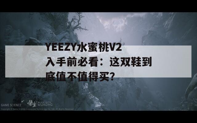 YEEZY水蜜桃V2入手前必看：这双鞋到底值不值得买？