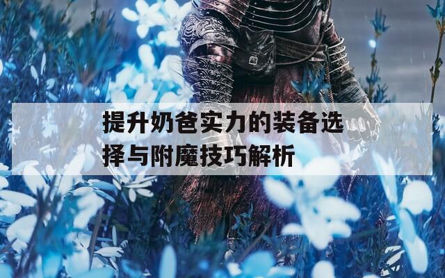 提升奶爸实力的装备选择与附魔技巧解析  第1张