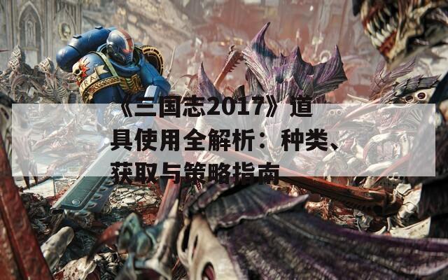 《三国志2017》道具使用全解析：种类、获取与策略指南