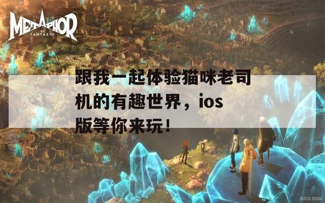 跟我一起体验猫咪老司机的有趣世界，ios版等你来玩！