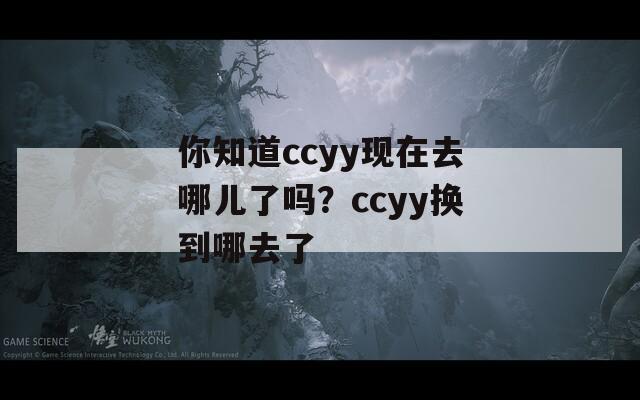 你知道ccyy现在去哪儿了吗？ccyy换到哪去了  第1张