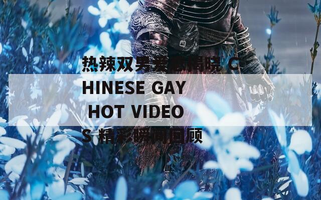 热辣双男爱恋揭晓 CHINESE GAY HOT VIDEOS 精彩瞬间回顾