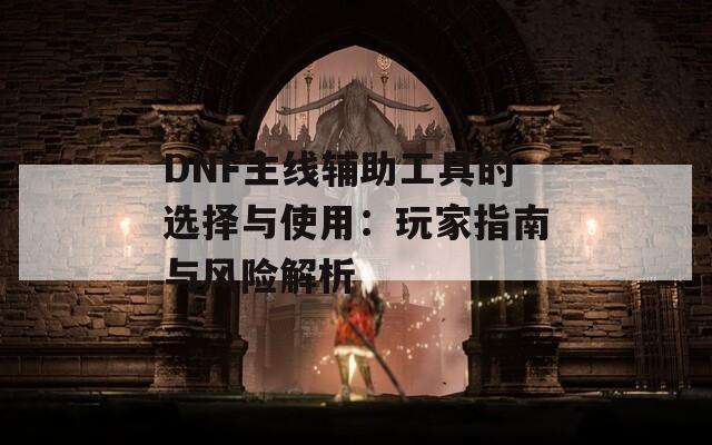 DNF主线辅助工具的选择与使用：玩家指南与风险解析