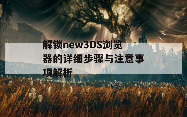 解锁new3DS浏览器的详细步骤与注意事项解析