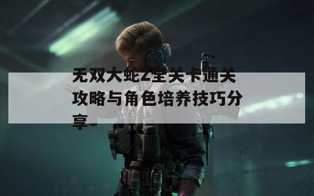 无双大蛇Z全关卡通关攻略与角色培养技巧分享