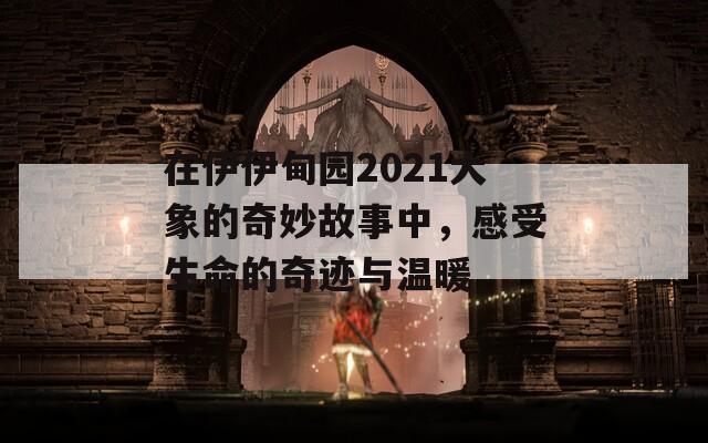 在伊伊甸园2021大象的奇妙故事中，感受生命的奇迹与温暖