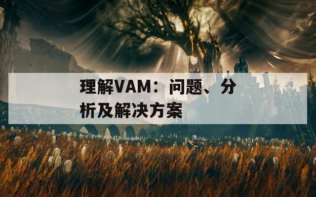 理解VAM：问题、分析及解决方案