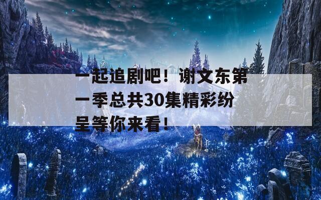 一起追剧吧！谢文东第一季总共30集精彩纷呈等你来看！