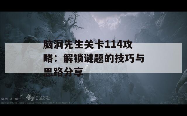 脑洞先生关卡114攻略：解锁谜题的技巧与思路分享