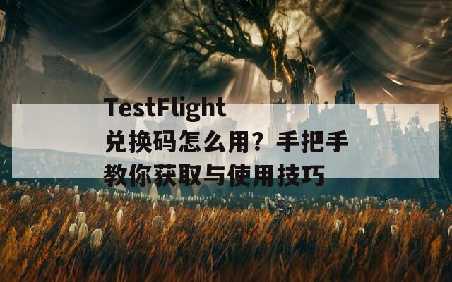 TestFlight兑换码怎么用？手把手教你获取与使用技巧