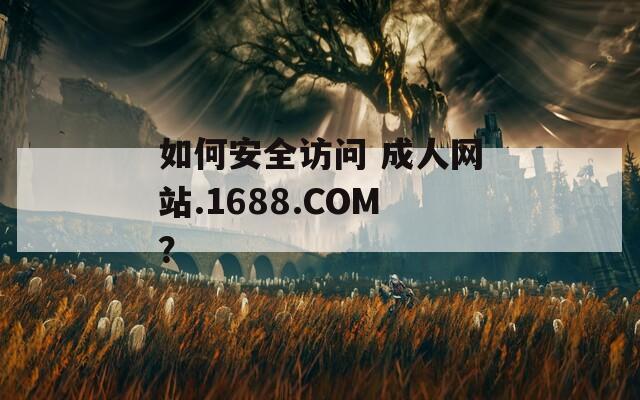 如何安全访问 成人网站.1688.COM？