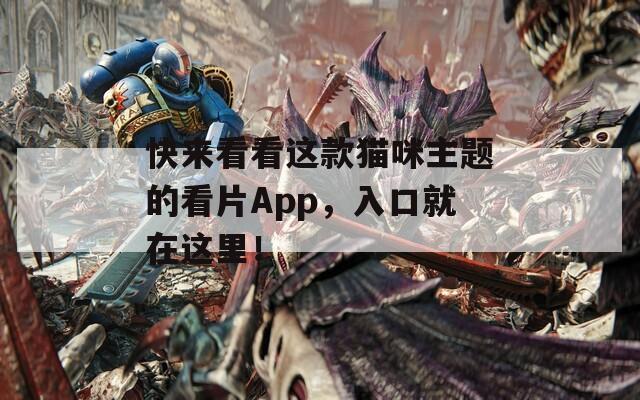 快来看看这款猫咪主题的看片App，入口就在这里！