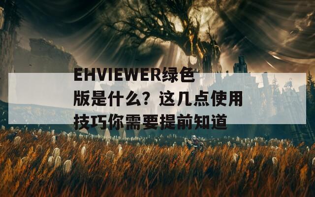 EHVIEWER绿色版是什么？这几点使用技巧你需要提前知道  第1张