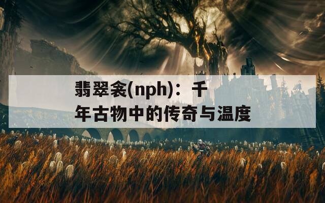 翡翠衾(nph)：千年古物中的传奇与温度  第1张