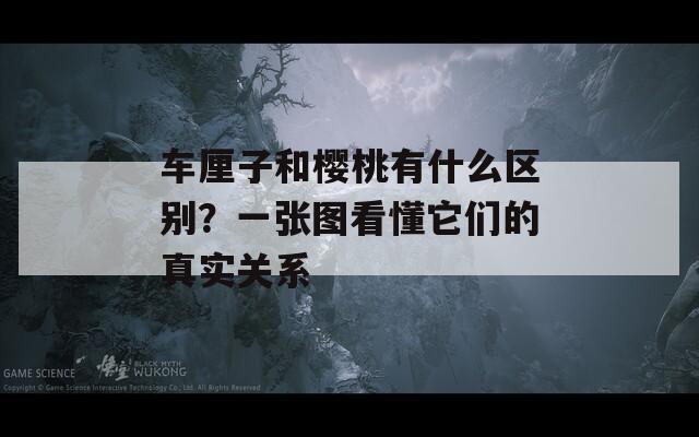 车厘子和樱桃有什么区别？一张图看懂它们的真实关系