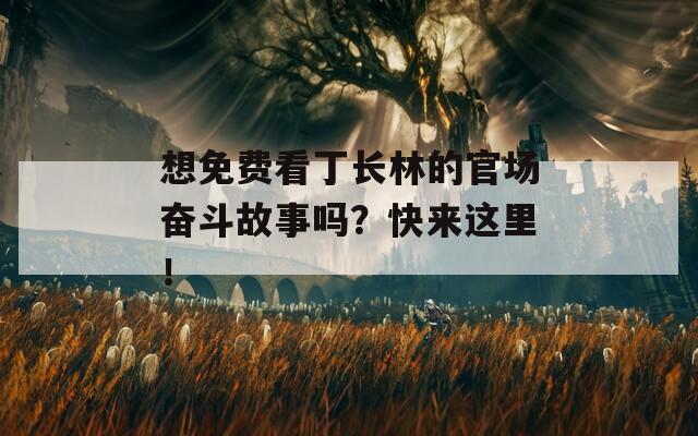 想免费看丁长林的官场奋斗故事吗？快来这里！