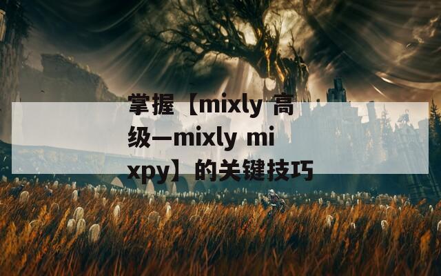 掌握【mixly 高级—mixly mixpy】的关键技巧