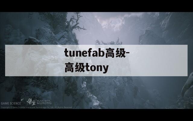 tunefab高级-高级tony