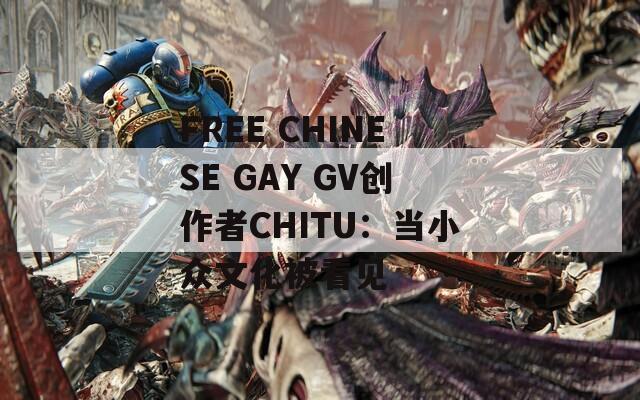 FREE CHINESE GAY GV创作者CHITU：当小众文化被看见