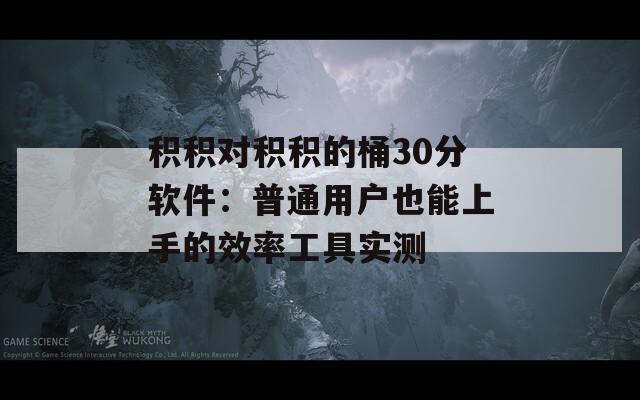 积积对积积的桶30分软件：普通用户也能上手的效率工具实测