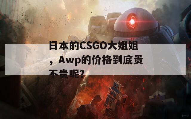 日本的CSGO大姐姐，Awp的价格到底贵不贵呢？