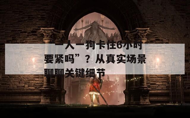 “一人一狗卡住6小时要紧吗”？从真实场景聊聊关键细节