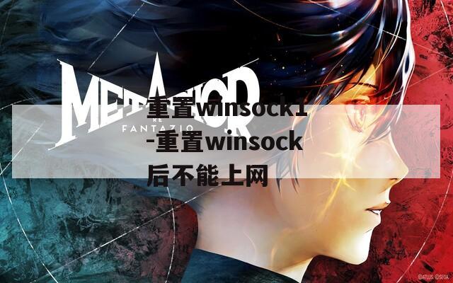 重置winsock1-重置winsock后不能上网  第1张