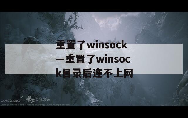 重置了winsock—重置了winsock目录后连不上网  第1张