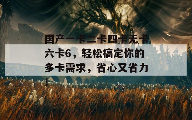 国产一卡二卡四卡无卡六卡6，轻松搞定你的多卡需求，省心又省力！