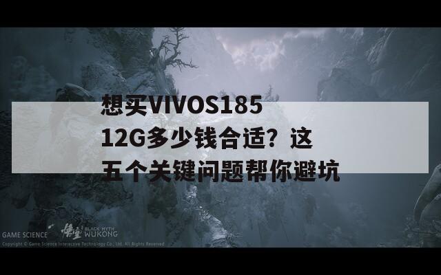 想买VIVOS18512G多少钱合适？这五个关键问题帮你避坑