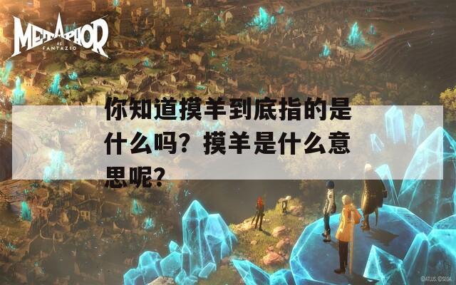 你知道摸羊到底指的是什么吗？摸羊是什么意思呢？  第1张