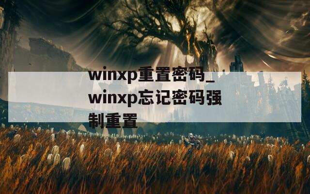 winxp重置密码_winxp忘记密码强制重置