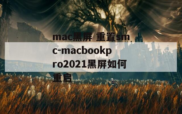 mac黑屏 重置smc-macbookpro2021黑屏如何重启