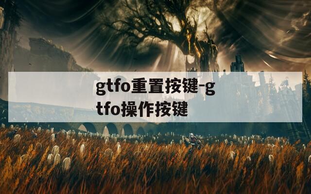 gtfo重置按键-gtfo操作按键  第1张